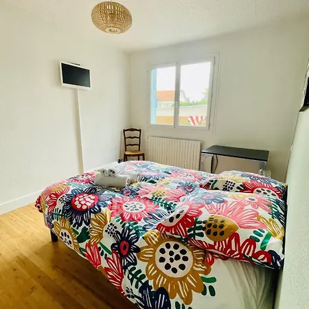 T2 Cosy Jardin Et Lit King Size Dans Appartement Toulouse